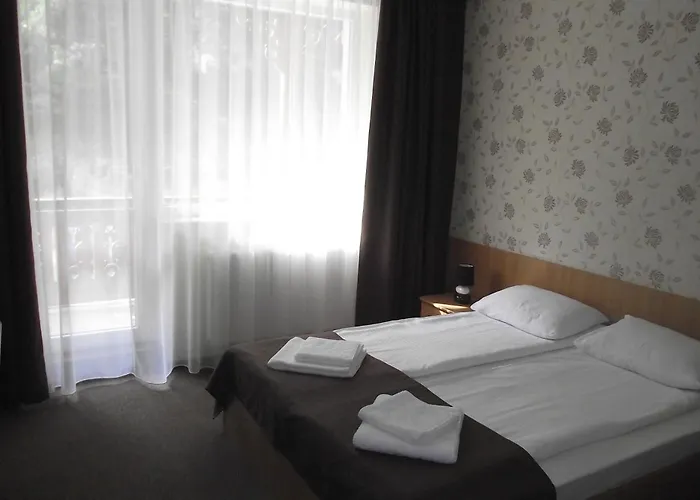 Hotel Muresul Health Spa